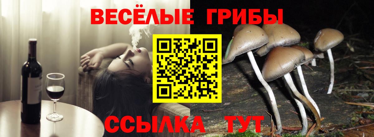Сочи  Псилоцибиновые грибы GOLDEN TEACHER  Галлюциногенные грибы мухоморы  Вход с VPN 